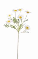 Margriet Leucanthemum 7 bloemen dia. 5 cm 1 knop & 7 bladeren flocked 57 cm kunstbloem Top Art - Top art
