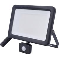 AS Schwabe Optiline 46672 LED-buitenschijnwerper met bewegingsmelder Energielabel: E (A - G) LED 100 W Zwart