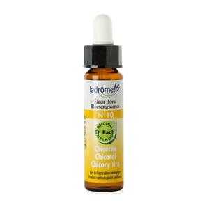 Ladrome Chicory/cichorei 10 bio