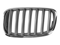 Radiateurgrille 6502070096991PP Radiateurgrille 6502070096991PP