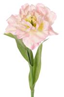 Tulp Tulipa parrot Garden art open 1 bloem dia. 13 cm 2 bladeren 21 x 7,5 cm 64 cm - Top art