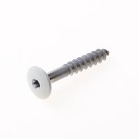 Kleurkopschroef rvs wit ral9010 4,8x32 t20