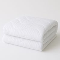 Dekbed - Enkel Basic - 240x200 Cm (Lits-Jumeaux) - Dekbed Discounter 200 Gram Per M² - Dekbed-Discounter.nl