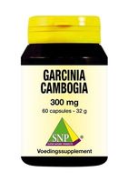 SNP Garcinia cambogia 300 mg (60 caps)