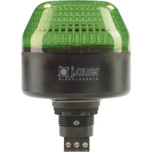 Auer Signalgeräte Signaallamp LED IBL 802506313 Groen Continulicht, Knipperlicht 230 V/AC