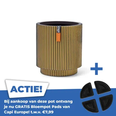 Vaas cilinder groove d23h25 goud