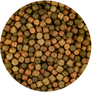 Vivani Top Mix 6mm Koivoer - Premium Voer voor Kleur & Gezondheid - 15kg Zak