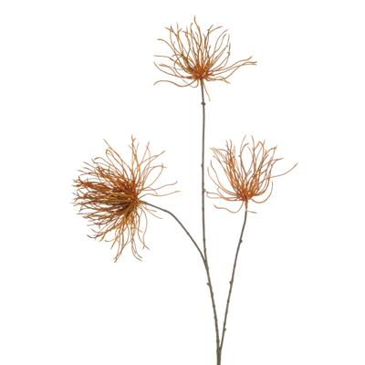 Thistle