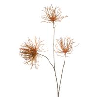 Thistle