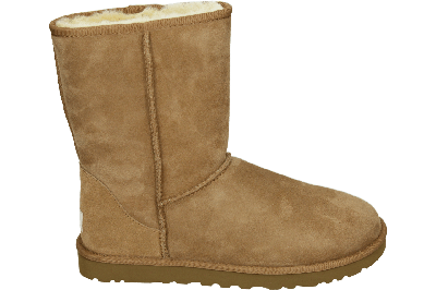 UGG CLASSIC SHORT NEW M - alle