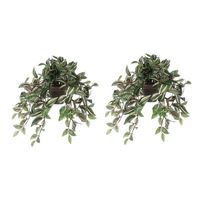 2x Groene Tradescantia/vaderplant kunstplanten 45 cm in pot