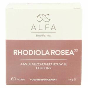 Alfa Rhodiola Rosea 500mg V-caps 60