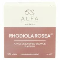 Alfa Rhodiola Rosea 500mg V-caps 60