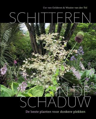 Schitteren in de schaduw (Hardback)