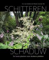 Schitteren in de schaduw (Hardback)