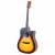 Fazley W70-DMSB ColourTune Dreadnought Matte Sunburst westerngitaar