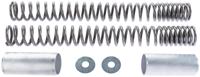 WIRTH Fork spring set 1028 polished,cover 1374