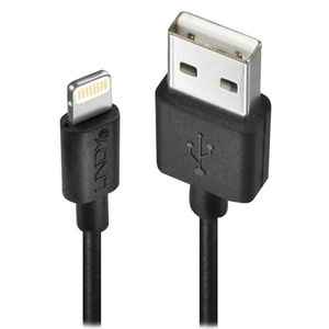 Lindy 31322 3m USB A Mannelijk Mannelijk Zwart USB-kabel