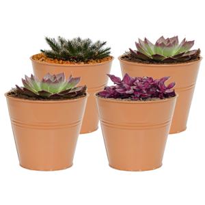 Plantenpot/bloempot Bob - 4x - rond - zink - terra - D11 X H10 cm