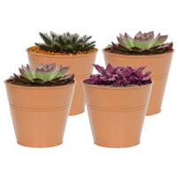 Plantenpot/bloempot Bob - 4x - rond - zink - terra - D11 X H10 cm