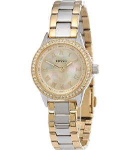 Horlogeband Fossil BQ1099 Staal Bi-Color 12mm