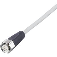 ifm Electronic EVF463 Aansluitkabel Aantal polen (sensoren): 5 Bus, recht 10 m 1 stuk(s)