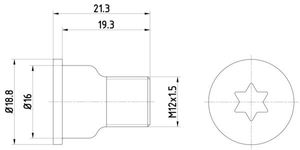 Schroef, remschijf 2 stuks TPM0005