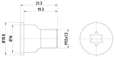 Schroef, remschijf 2 stuks TPM0005