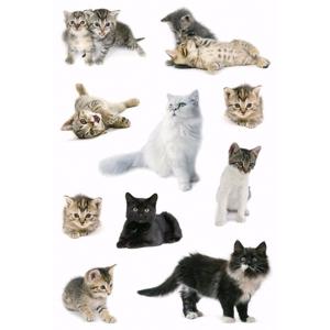 Katten stickers - 3x vellen 16 x 9 cm - stickervel - poezen - hobby