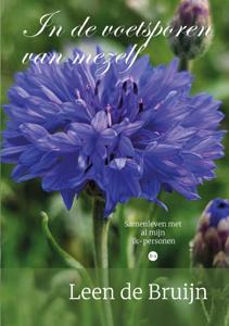 In de voetsporen van mezelf (Paperback)