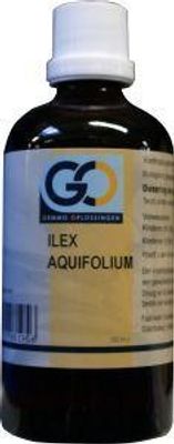 Ilex aquafolium