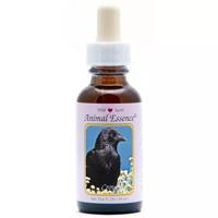 Animal Essences Crow (kraai) 30 Milliliter