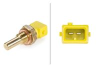 Temperatuursensor 6PT009107441