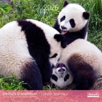 Funny Animals Kalender 2026