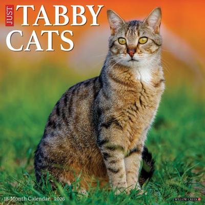 Tabby Katten Kalender 2026 Tabby Katten Kalender 2026