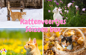 Kattenveertjes Seizoenbox (Jaar abonnement)