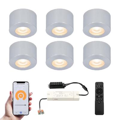 Set van 6 Navarra Smart LED Mini opbouwspots - Veranda spots - 12V 3W 200lm - Dimbaar - Wifi & Bluetooth - 2700K - IP44 waterdicht - RVS Set van 6 Navarra Smart LED Mini opbouwspots - Veranda spots - 12V 3W 200lm - Dimbaar - Wifi & Bluetooth - 2700K - IP44 waterdicht - RVS