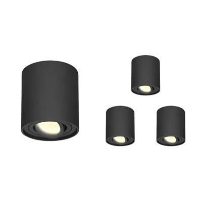 Set van 4 Ray LED opbouwspots - Rond - Dimbaar - 4 Watt 345 lumen - 2700K warm wit - Kantelbaar - GU10 - Plafondspot - IP20 Voor binnen - Zwart
