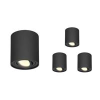 Set van 4 Ray LED opbouwspots - Rond - Dimbaar - 4 Watt 345 lumen - 2700K warm wit - Kantelbaar - GU10 - Plafondspot - IP20 Voor binnen - Zwart
