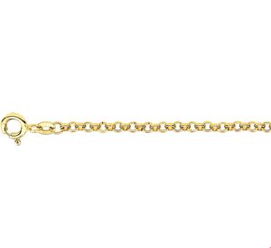 TFT Armband Goud Jasseron 2,5 mm 15 cm