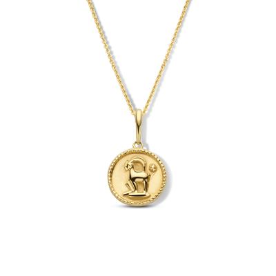 Minimalistische sterrenbeeld ketting - 14K GOUD - Capricornus - steenbok - Goud