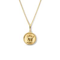 Minimalistische sterrenbeeld ketting - 14K GOUD - Capricornus - steenbok - Goud