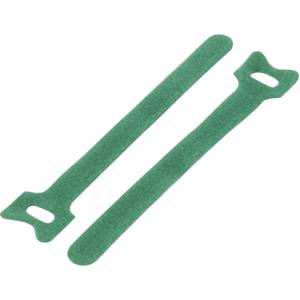 TRU COMPONENTS TC-MGT-310GN203 Klittenband kabelbinder Om te bundelen Haak- en lusdeel (l x b) 310 mm x 16 mm Groen 1 stuk(s)