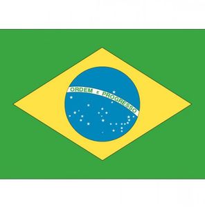 Vlag Brazilie stickers - 7.5 x 10 cm