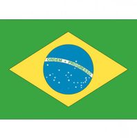Vlag Brazilie stickers - 7.5 x 10 cm