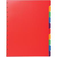 Exacompta uitneembare tabbladen voor showalbum met ringen, in gekleurd PP, 10 tabs