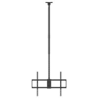 Reflecta PALLAS 100-8060T TV-plafondbeugel 127,0 cm (50) - 254,0 cm (100) Kantelbaar, Zwenkbaar, In hoogte verstelbaar