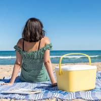 Draagbare harde koelbox Lilty InnovaGoods 15 L