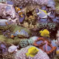 Noordwand Behang Good Vibes Coral and Tropical Fish geel en paars - thumbnail