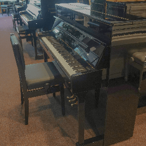 Sauter 113 PE messing piano  101671-1917